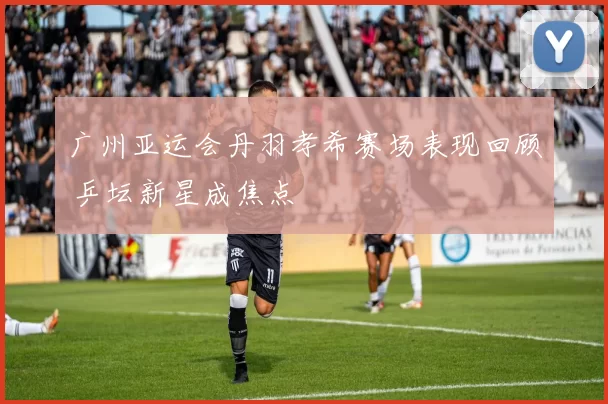 广州亚运会丹羽孝希赛场表现回顾 乒坛新星成焦点