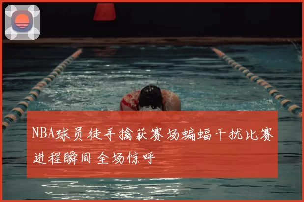 NBA球员徒手擒获赛场蝙蝠干扰比赛进程瞬间全场惊呼