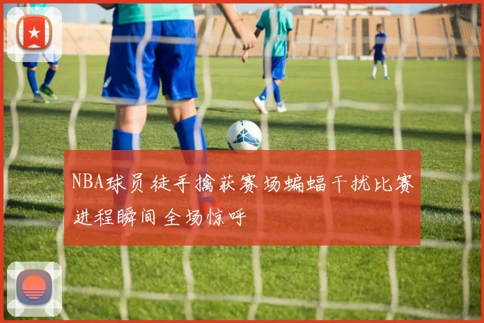 NBA球员徒手擒获赛场蝙蝠干扰比赛进程瞬间全场惊呼