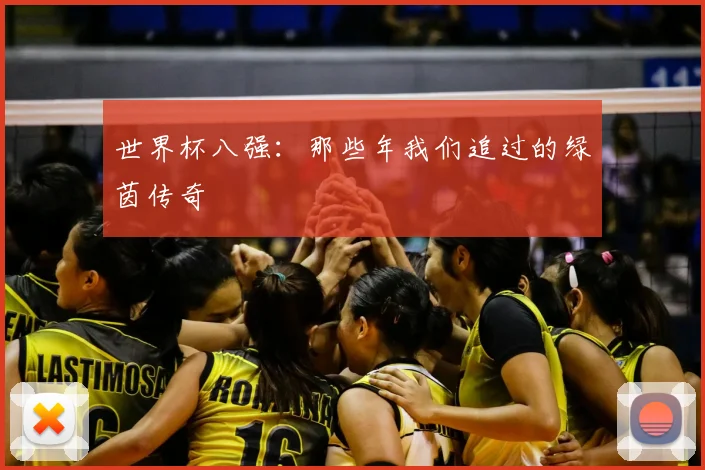 世界杯八强：那些年我们追过的绿茵传奇