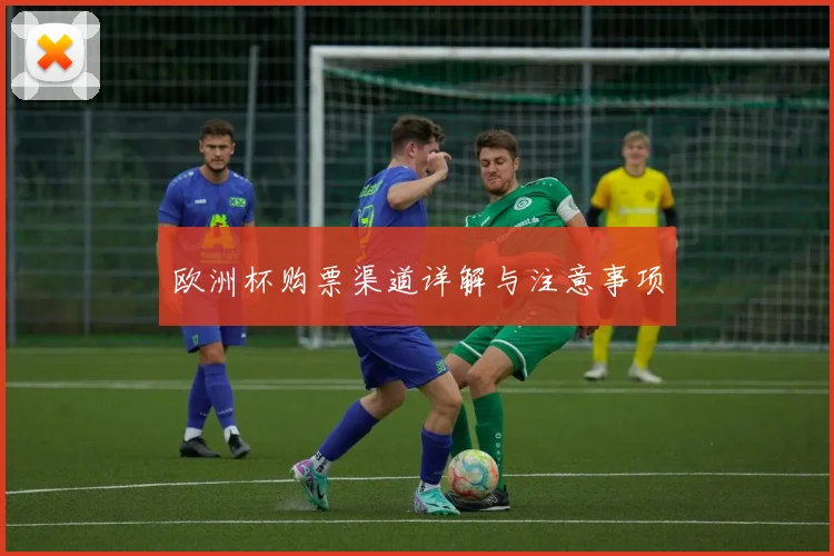 欧洲杯购票渠道详解与注意事项