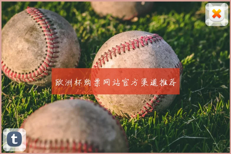 欧洲杯购票网站官方渠道推荐