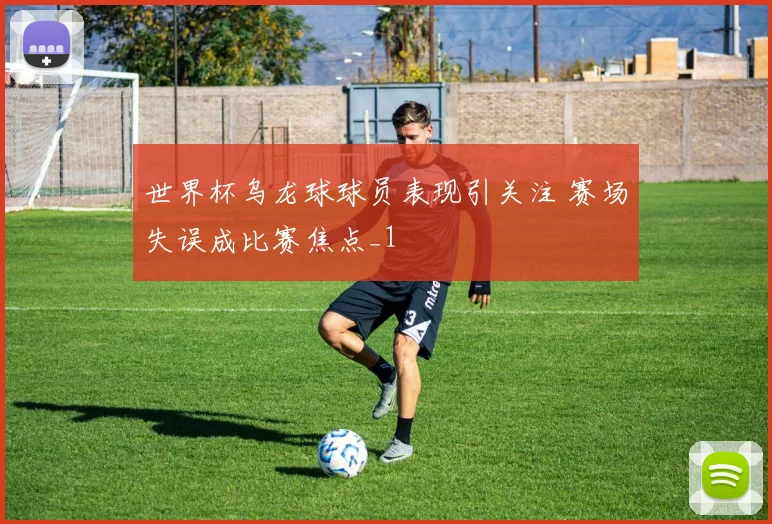 世界杯乌龙球球员表现引关注 赛场失误成比赛焦点_1