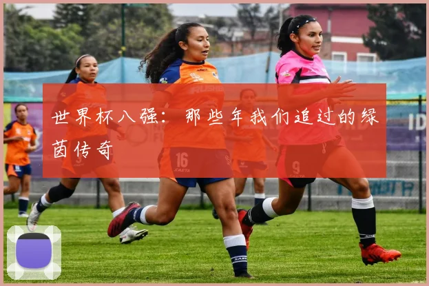 世界杯八强：那些年我们追过的绿茵传奇